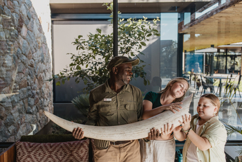 Tanda Tula Safari Camp: Stoßzahn