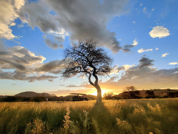 Ai Aiba Lodge Ai Aiba Lodge: Nature Drive