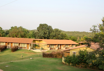Asiatic Lion Lodge Asiatic Lion Lodge: Bäume hinter einem Zimmerblock