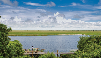 Chobe Game Lodge: Steg