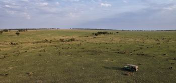 Esirai Camp: Game Drive