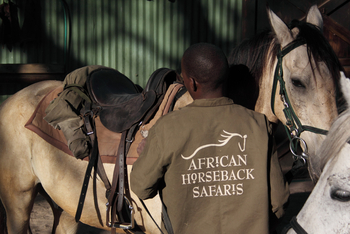 Macatoo Camp: Betreuung im Stall