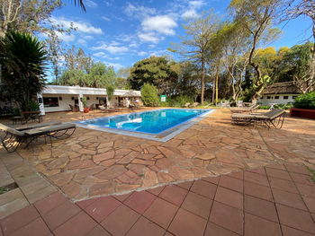 Ngorongoro Farmhouse: Poolbereich mit Liegestühlen