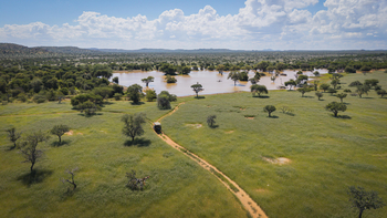Ohorongo: Nature Drive