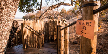Puku Ridge Camp: Eye-to_Eye Hide