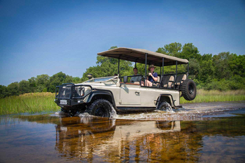 Roots and Journeys: Game Drive