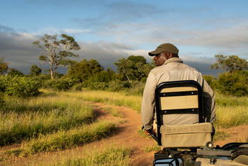 Tanda Tula Safari Camp: Game Drive