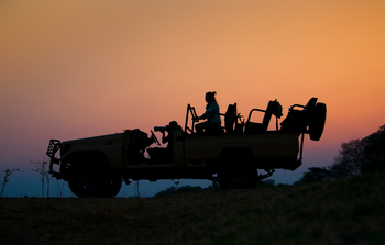 Track and Trail River Camp Track and Trail River Camp: Evening Drive