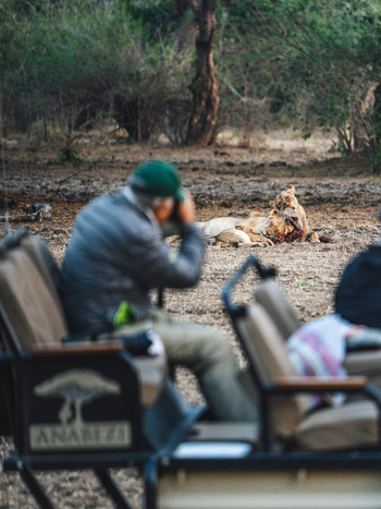 Anabezi Luxury Tented Camp: Löwen vor dem Camp