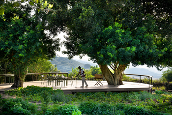 Angama Mara: Essbereich mit Mitarbeiter