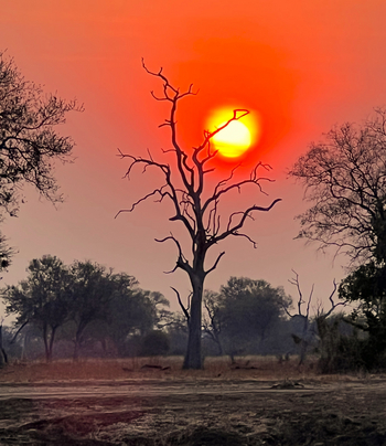 Chikunto Safari Lodge Chikunto Safari Lodge: Glühende Sonne