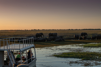 Chobe River Camp: River Safari