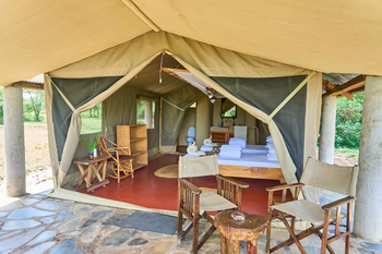 Ikoma Tented Camp: Bett mit Handtüchern und Blütenblättern