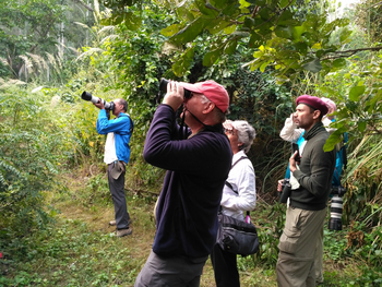 Jim's Jungle Retreat: Butterfly Walk