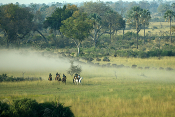 Macatoo Camp: Büffel und Reiter