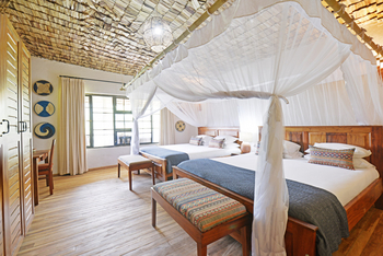 Mahogany Springs Safari Lodge: King Beds
