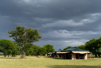 Mara Under Canvas: Gästezelte