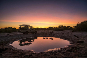 Mogogelo Camp Mogogelo Camp: Blaue Stunde