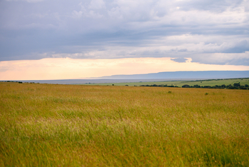 Olare Mara Kempinski: Ausblick Natur