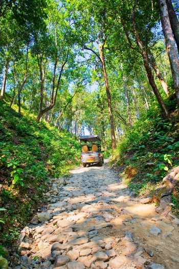 Paatlidun Safari Lodge: Nature Drive