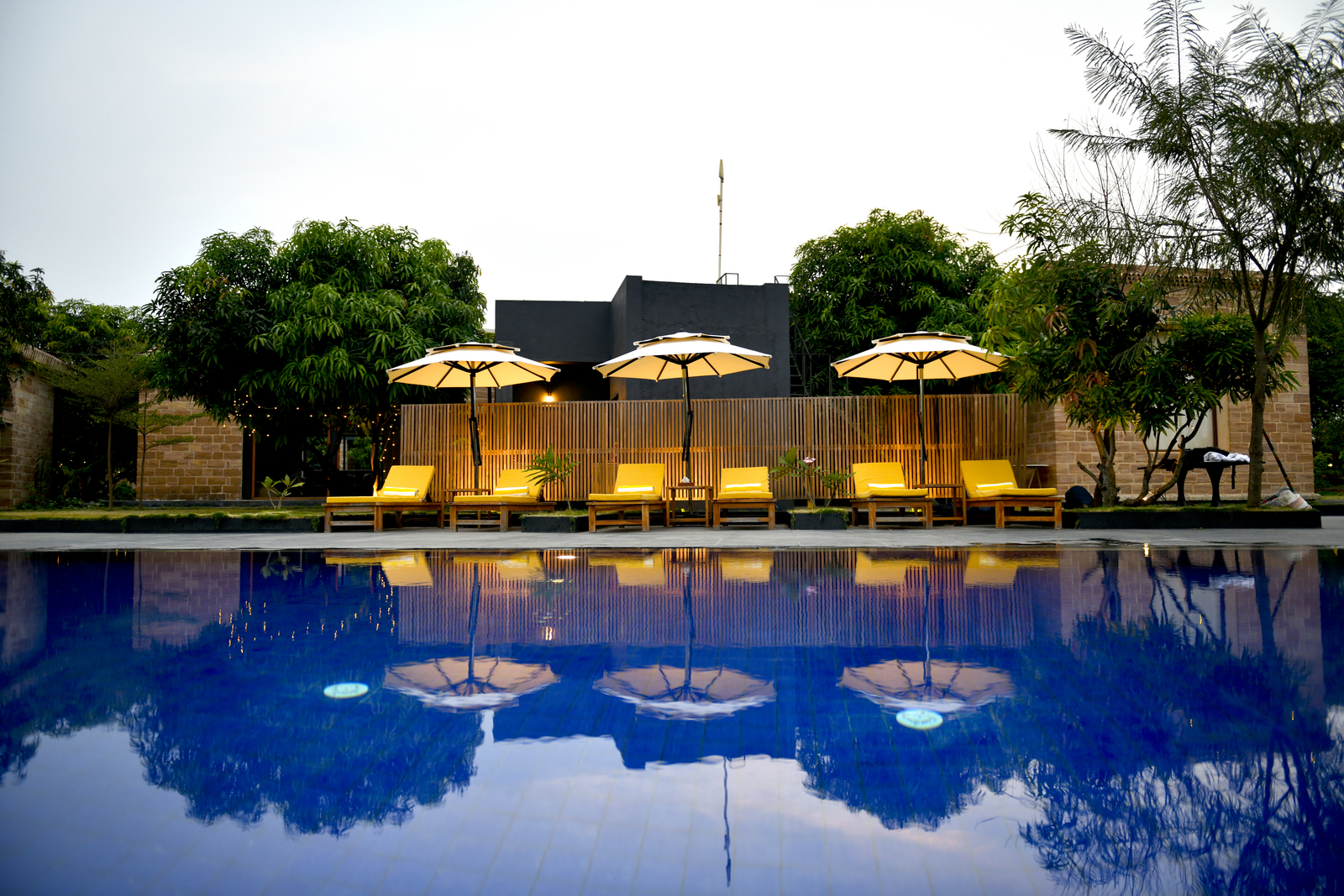 The Postcard Gir Wildlife Sanctuary The Postcard Gir Wildlife Sanctuary: Liegestühle am Pool