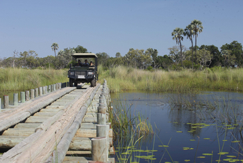 andBeyond Nxabega under Canvas: Brücke im Sumpf