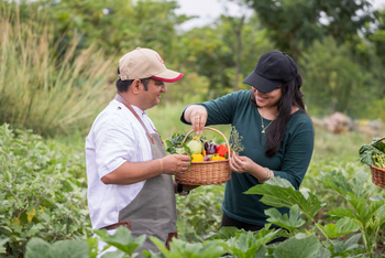 Aramness Aramness: Köche im Gemüsegarten