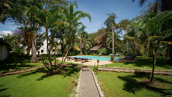 Arusha Safari Lodge: Sonnenbeleuchteter Pool mit Holz-Liegestühlen