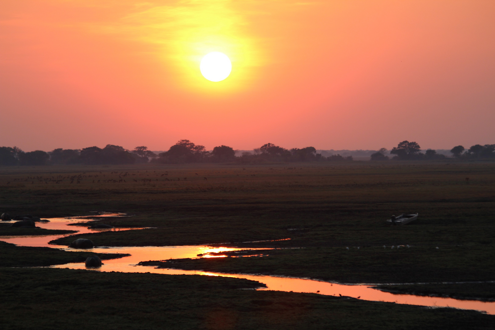 Ballonfahrt Busanga Plains Ballonfahrt Busanga Plains
