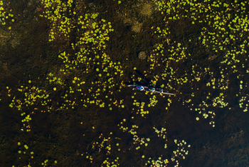 Boteti Tented Safari Lodge: Mokoroausflug