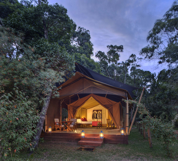 Elewana Elephant Pepper Camp Elewana Elephant Pepper Camp: Laternen vor dem Zelt