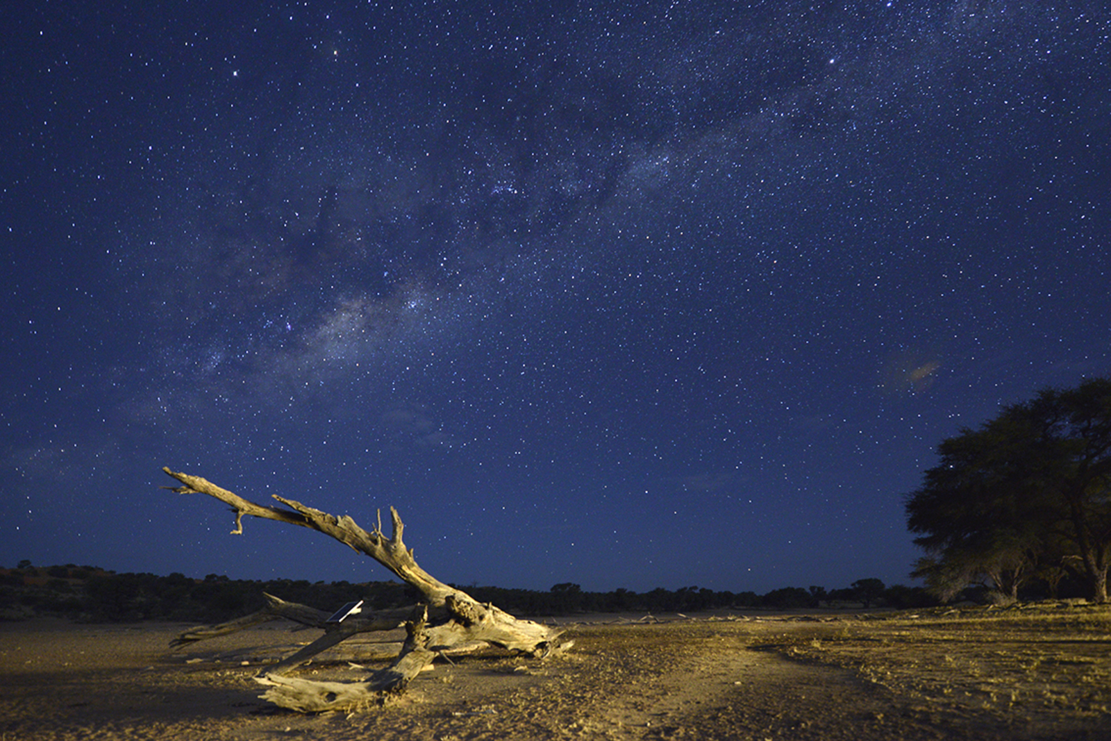 Kalahari Game Lodge Kalahari Game Lodge: Sterne über dem Auob