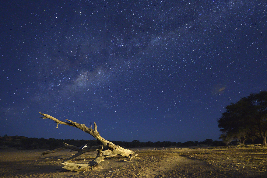 Kalahari Game Lodge