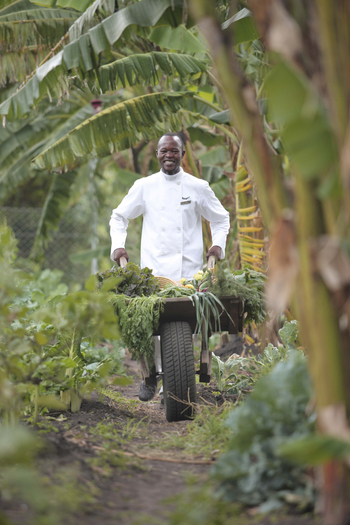 Klein's Camp: Küche