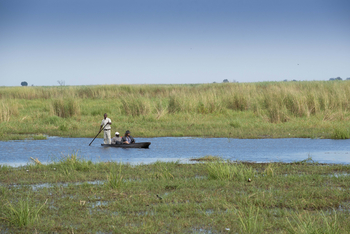 Linyanti Bush Camp: Mokoroexkursion