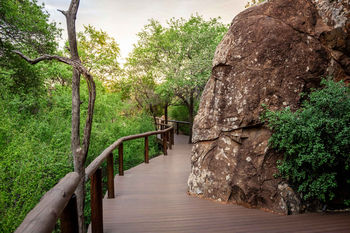 Madikwe Hills Private Game Lodge: Natürlicher Holzweg neben Felsen im Busch
