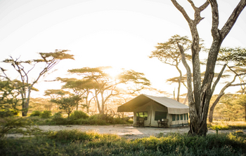 Olaado Camp: Akazien in der Nachbarschaft