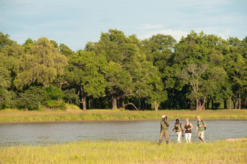 Time + Tide South Luangwa Time + Tide South Luangwa: Walking Safari