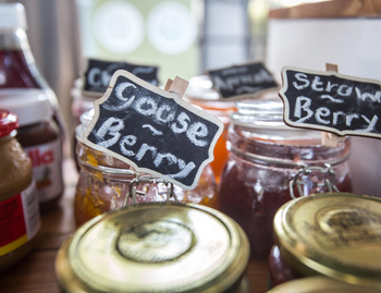 Zambezi Mubala Lodge: Preserves