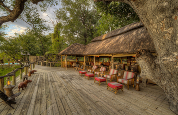 Camp Xakanaxa Camp Xakanaxa: Lounge von Aussen