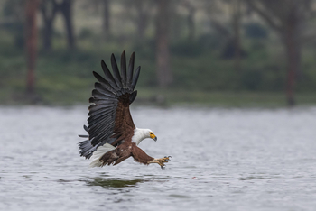 Loldia House: Lake Oloidien