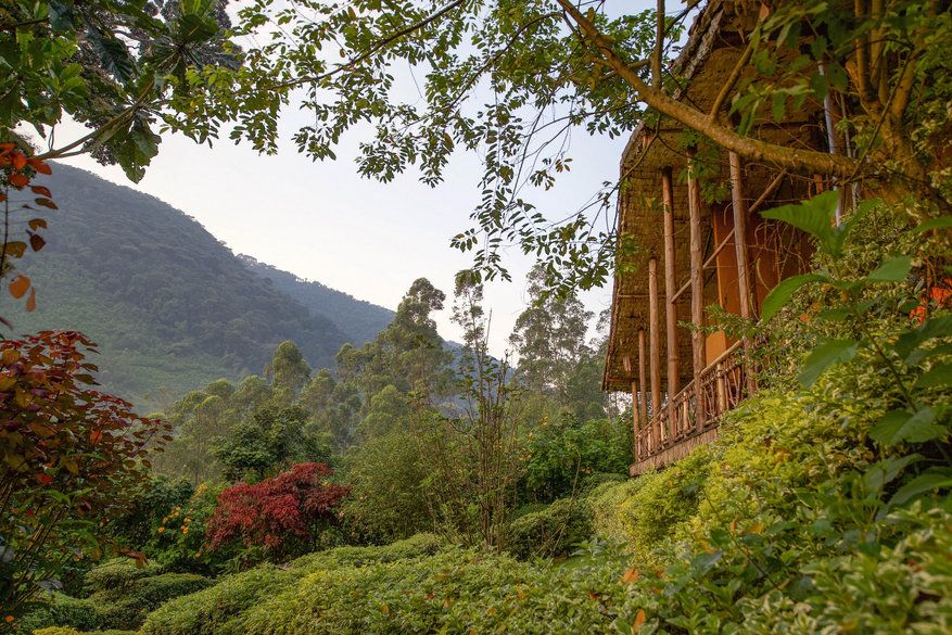 Mahogany Springs Safari Lodge