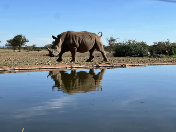 Okutala Lodge: Nashorn