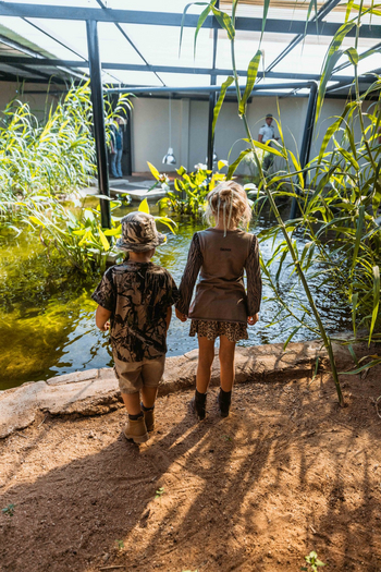 Old Traders Lodge: Game Drive für Kinder