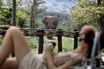 Ongava Tented Camp: Elefantenbulle