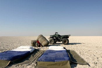 Planet Baobab: Aktivitäten