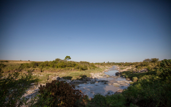Rekero Camp: Blick entlang des Flussbettes