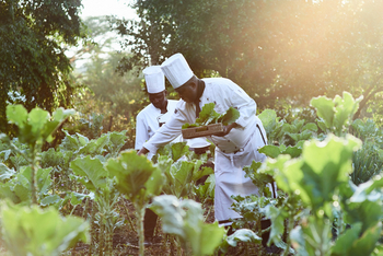 Sanctuary Olonana Sanctuary Olonana: Gemüsegarten