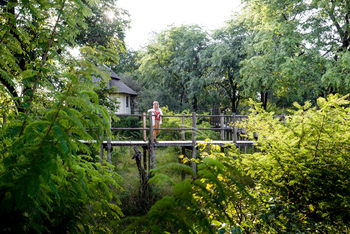 Sanctuary Sussi & Chuma: Hochsteg