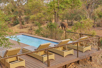 The Wallow Lodge: Swimming Pool